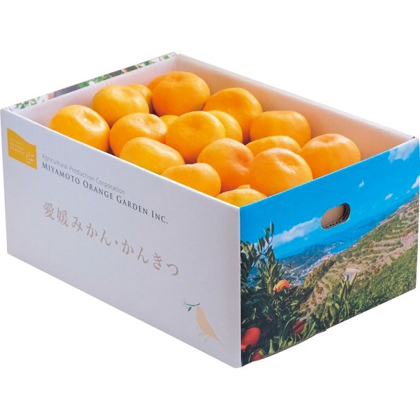 2026年お歳暮特別企画 愛媛県西宇和産　温州みかん（５ｋｇ） 【全国送料無料】(沖縄・離島は別途)の画像