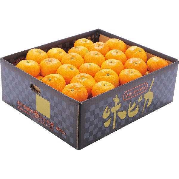 2026年お歳暮特別企画 愛媛県産　ＪＡ西宇和　味ぴかみかん（５ｋｇ） 【全国送料無料】(沖縄・離島は別途)の画像