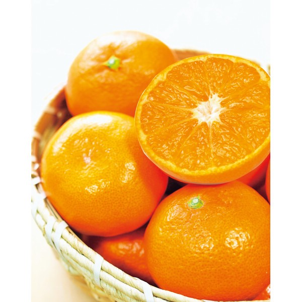 2026年お歳暮特別企画 愛媛県産　ＪＡ西宇和　味ぴかみかん（５ｋｇ） 【全国送料無料】(沖縄・離島は別途)の画像