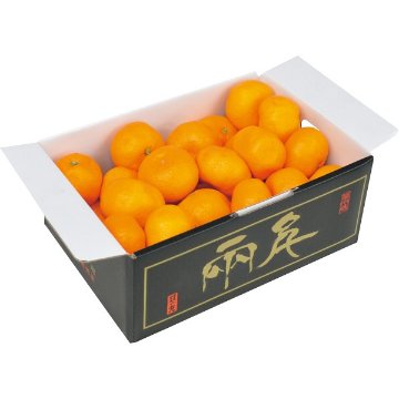 2026年お歳暮特別企画 愛媛県産　日の丸みかん（２ｋｇ） 【全国送料無料】(沖縄・離島は別途)の画像