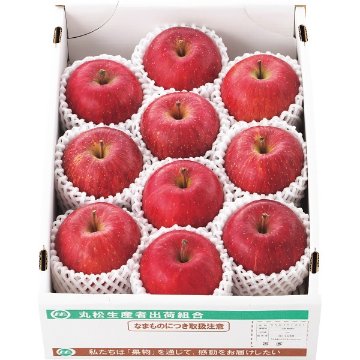 2026年お歳暮特別企画 山形県産　サンふじりんご（３ｋｇ） 【全国送料無料】(沖縄・離島は別途)の画像