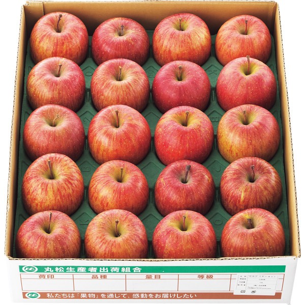 2026年お歳暮特別企画 山形県産　サンふじりんご（５ｋｇ） 【全国送料無料】(沖縄・離島は別途)の画像