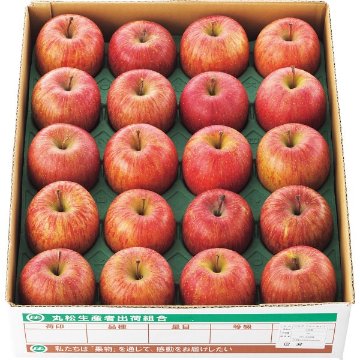 2026年お歳暮特別企画 山形県産　サンふじりんご（５ｋｇ） 【全国送料無料】(沖縄・離島は別途)の画像