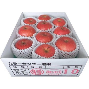2026年お歳暮特別企画 青森県産　糖度１４度以上サンふじ　（２．５ｋｇ） 【全国送料無料】(沖縄・離島は別途)の画像