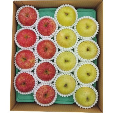 2026年お歳暮特別企画 青森県産　サンふじりんご＆王林（４ｋｇ） 【全国送料無料】(沖縄・離島は別途)の画像