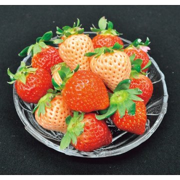 2026年お歳暮特別企画 紅白いちご（計２５０ｇ） 【全国送料無料】(沖縄・離島は別途)の画像