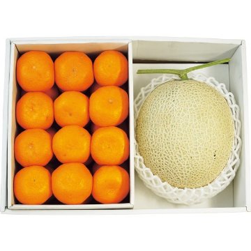 2026年お歳暮特別企画 国産マスクメロン１玉・和歌山県産みかん 【全国送料無料】(沖縄・離島は別途)の画像