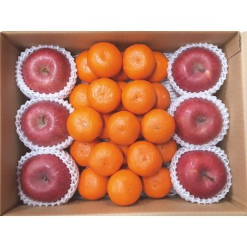 2026年お歳暮特別企画 みかん・りんごセット 【全国送料無料】(沖縄・離島は別途)の画像