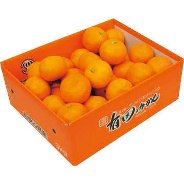 2026年お歳暮特別企画 和歌山県　武内園の有田みかん（３ｋｇ） 【全国送料無料】(沖縄・離島は別途)の画像