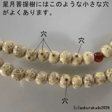 数珠 真言宗 8寸 主玉(おもだま)星月菩提樹 、(親・４天・つゆ)メノウ 紫色利休房の画像