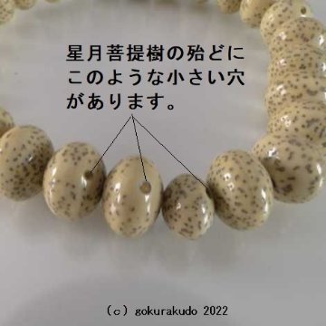 数珠ブレス 総星月菩提樹 主玉(おもだま)尺3みかん玉画像