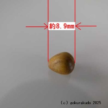 (数珠部品)真言宗用の(親・四天・つゆ)　欅（けやき）製の画像