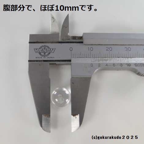 透明水晶の主玉（直径10×8mm、みかん玉） 1個当たりの画像