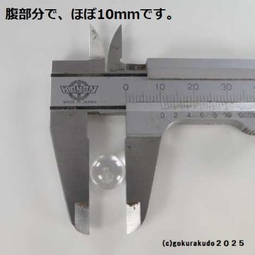 透明水晶の主玉（直径10×8mm、みかん玉） 1個当たりの画像