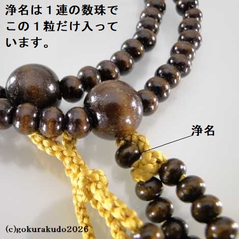 数珠 日蓮宗・法華宗 総紅梅 尺 金茶色菊房 [紙箱入り]の画像