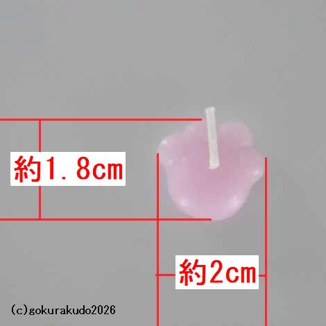 あしあといっぱい（にくきゅう型ローソク）〔詰め替え用〕の画像