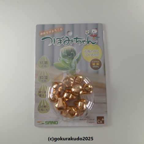 つぼみちゃん（大） の画像