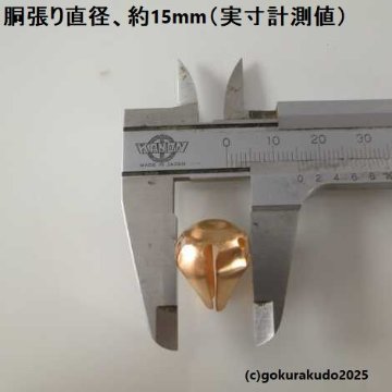 つぼみちゃん（大） の画像