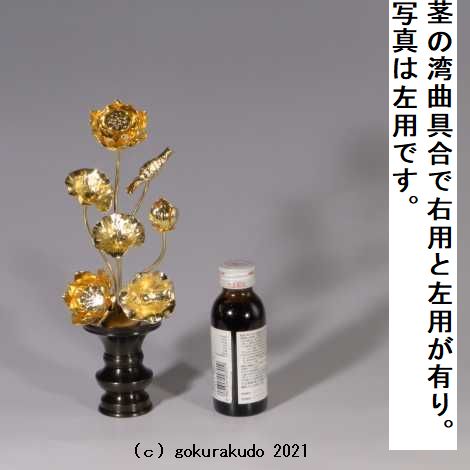 常花・蓮の花/真鍮製 本金メッキ 5号 7本立画像