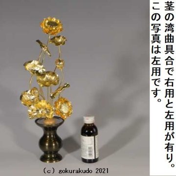 常花・蓮の花/真鍮製 本金メッキ 8号 11本立画像
