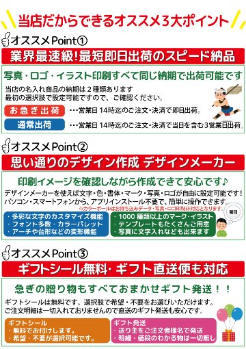 最短即日出荷! 名入れ ゴルフボール  メーカーロゴなし 非公認球 無地ボール クリアケース入り3球セット 写真 ロゴ 印刷対応画像