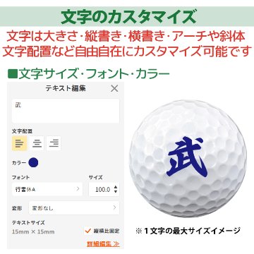 最短即日出荷! 名入れ ゴルフボール タイトリスト Titleist ProV1 プロV1 2025年 ホワイト 半ダース(6球) 写真 ロゴ 印刷対応の画像