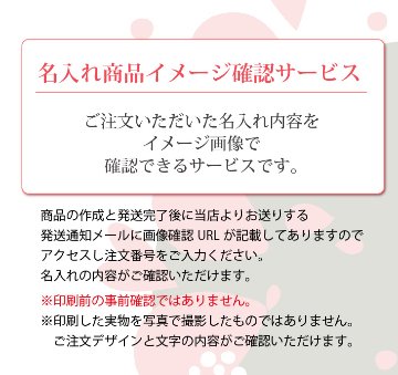 2025年父の日 名入れゴルフギフトセット(名入れゴルフボール６球・化粧箱入り)ラッピング無料の画像
