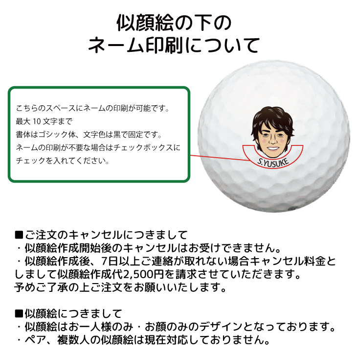 最短即日出荷! 名入れ ゴルフボール ブリヂストン PHYZ ファイズ 2019年モデル PPK 12球 写真 ロゴ 似顔絵 印刷対応の画像
