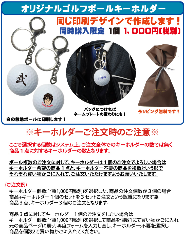 最短即日出荷! 名入れ ゴルフボール ブリヂストン PHYZ ファイズ 2019年モデル PPK 12球 写真 ロゴ 似顔絵 印刷対応の画像