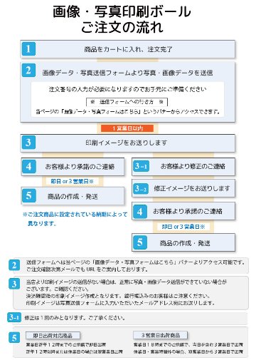 最短即日出荷! 名入れ ゴルフボール ブリヂストン PHYZ ファイズ 2019年モデル PPK 12球 写真 ロゴ 似顔絵 印刷対応の画像