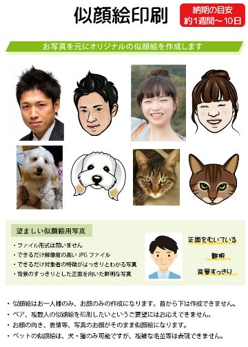 最短即日出荷! 名入れ ゴルフボール ブリヂストン PHYZ ファイズ 2019年モデル PPK 12球 写真 ロゴ 似顔絵 印刷対応の画像