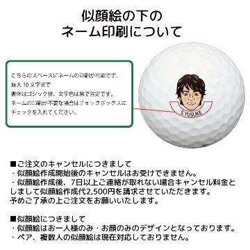 最短即日出荷! 名入れ ゴルフボール ブリヂストン PHYZ ファイズ 2019年モデル PPK 12球 写真 ロゴ 似顔絵 印刷対応の画像