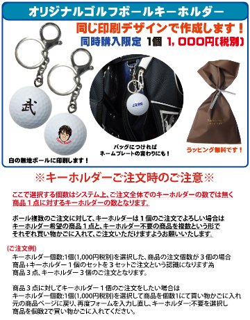 最短即日出荷! 名入れ ゴルフボール ブリヂストン PHYZ ファイズ 2019年モデル PPK 12球 写真 ロゴ 似顔絵 印刷対応の画像