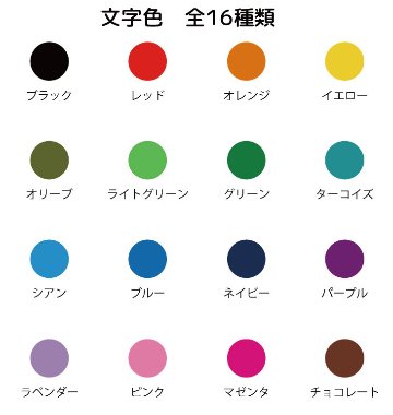 最短即日出荷! 名入れ ゴルフボール ブリヂストン PHYZ ファイズ 2019年モデル PPK 12球 写真 ロゴ 似顔絵 印刷対応の画像