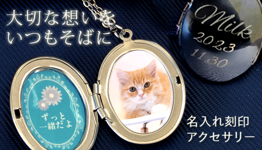 アクセサリー