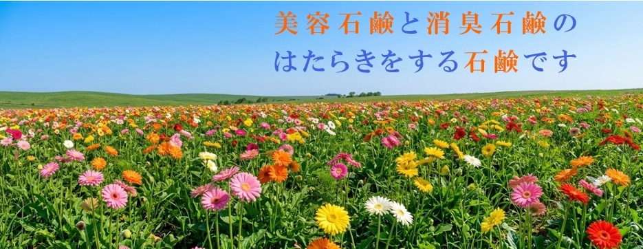 ホワイトミルキーソープ,シミ,くすみ,水イボ,加齢臭,汗臭,脇のニオイ,対策