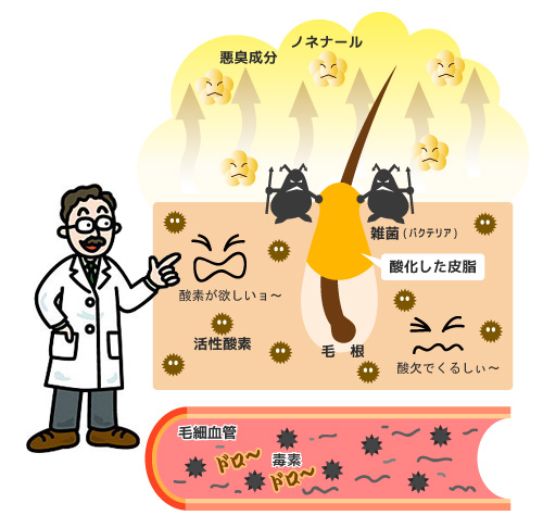 加齢臭,ニオイ,ミドル油臭