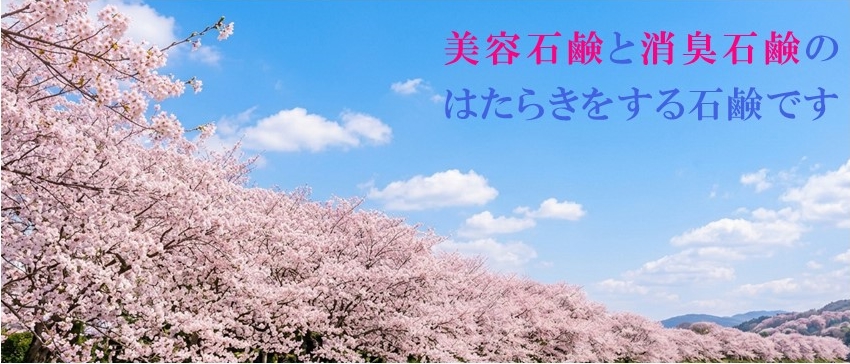 不思議な石鹸ホワイトミルキーソープ3個セット