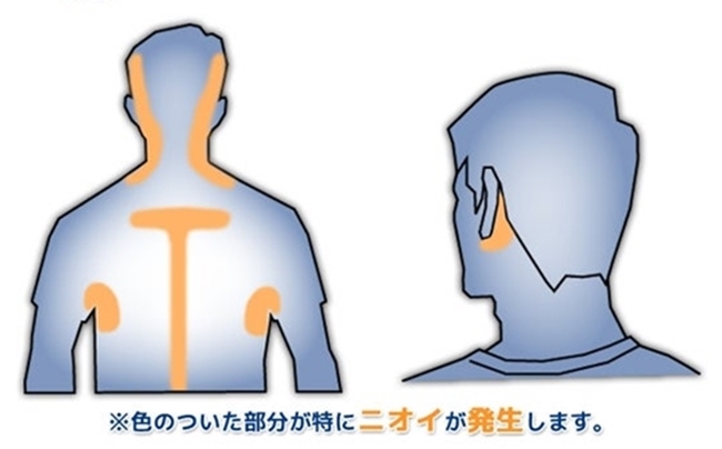 頭皮のニオイ,頭皮のアブラ,対策,洗う,解消