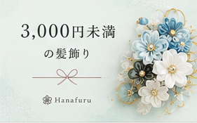 3000円未満