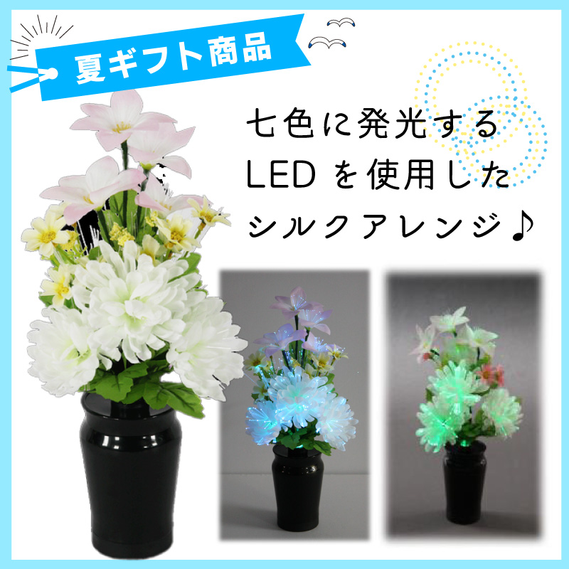 【夏ギフト】＜LED＞小型ルミナス菊画像