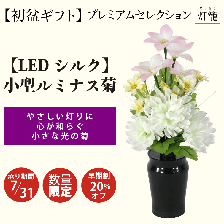 【夏ギフト2025】〈LED〉小型ルミナス菊の画像