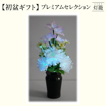 【夏ギフト2025】〈LED〉小型ルミナス菊の画像