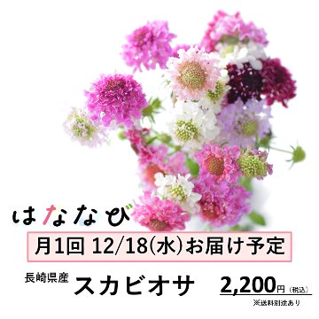 はななび宅配便【12月1回】3週目お届けの画像