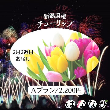 はななび宅配便【2月1回】2週目お届けの画像