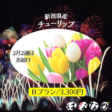 はななび宅配便【2月1回】2週目お届けの画像