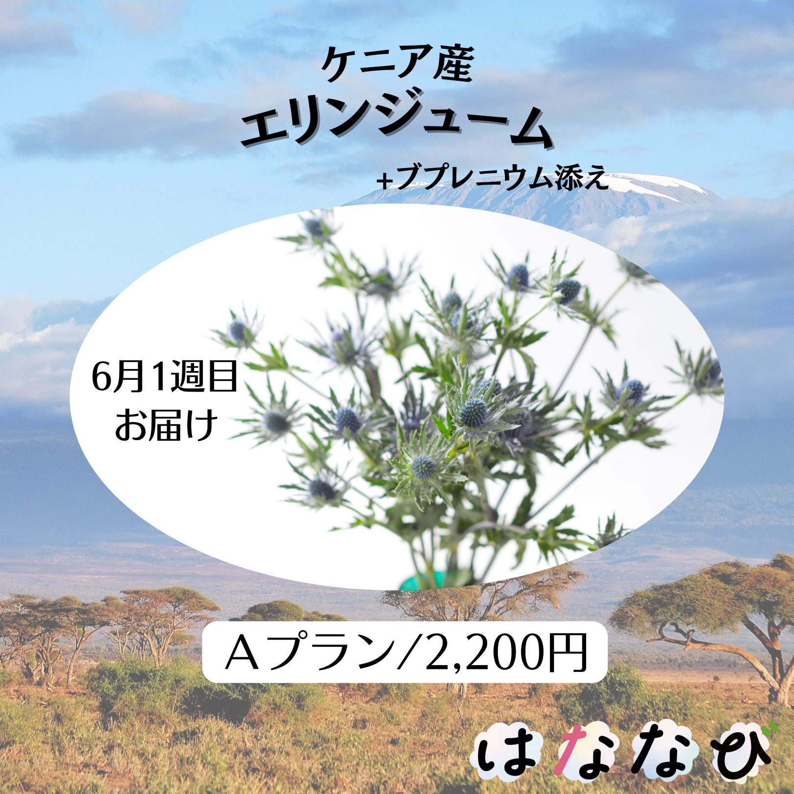 はななび宅配便【6月1回】1週目お届けの画像