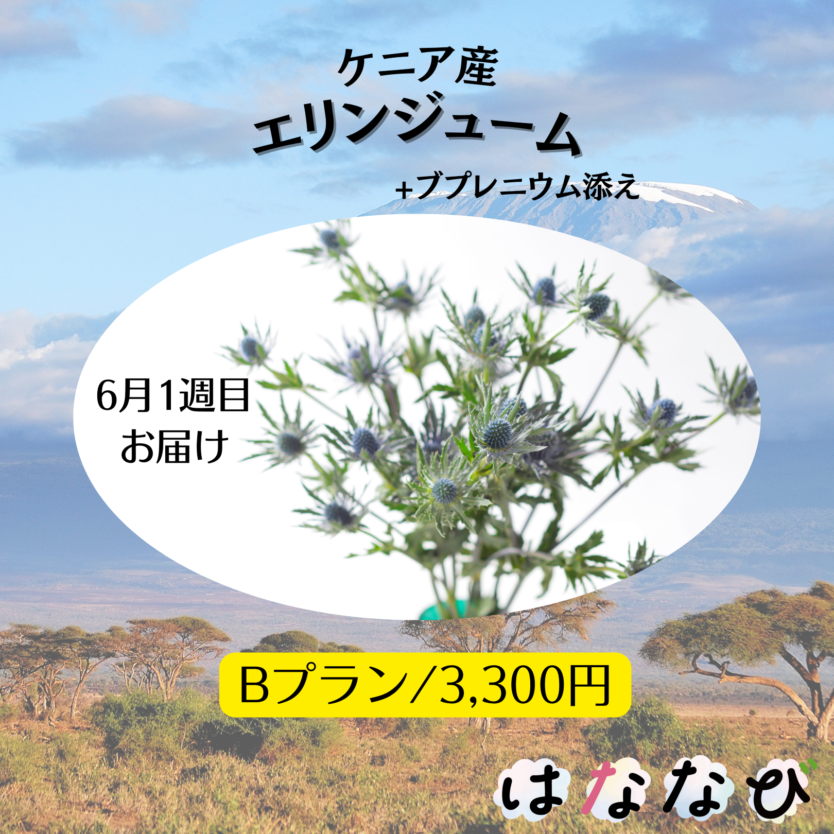 はななび宅配便【6月1回】1週目お届けの画像