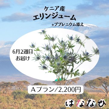 はななび宅配便【6月1回】2週目お届けの画像