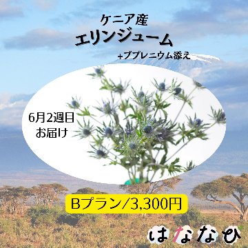 はななび宅配便【6月1回】2週目お届けの画像